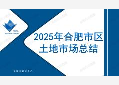 2025年合肥市区土地市场总结