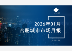 合肥楼市2026年01月市场总结